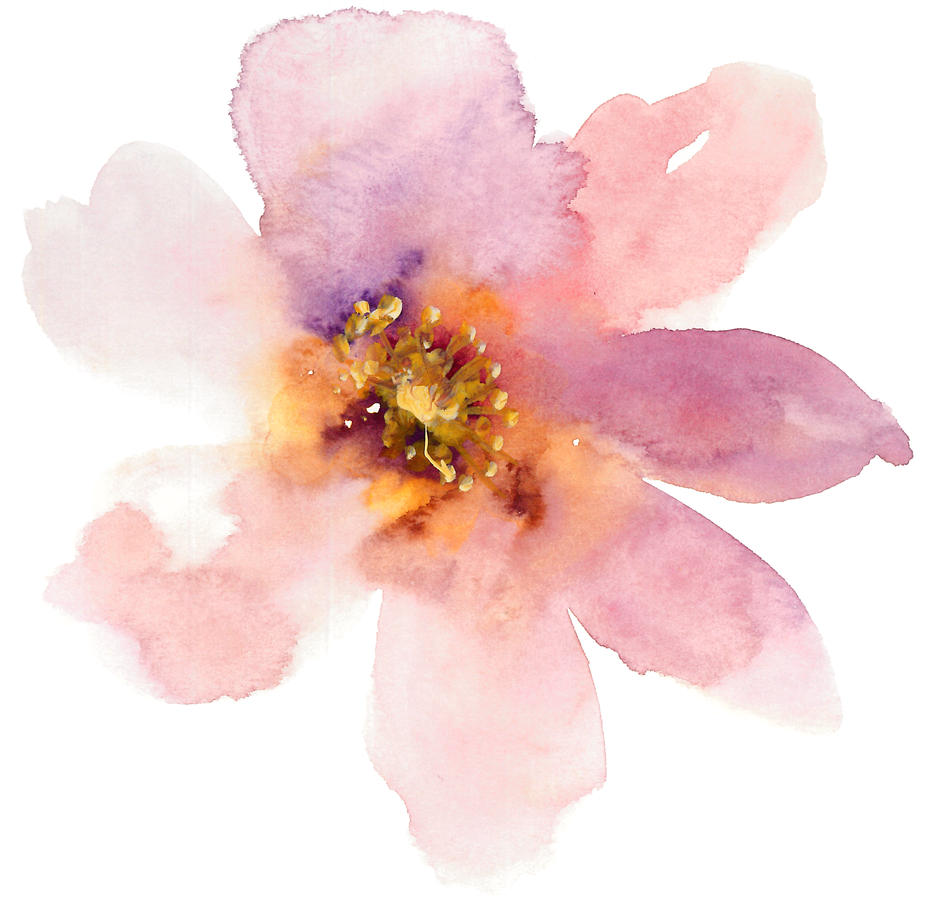 Pink and purple watercolour flower image